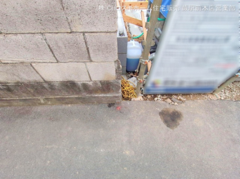 nOώʐ^@-