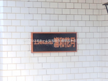 nOώʐ^@-