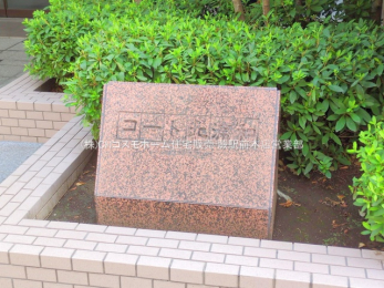 nOώʐ^@-