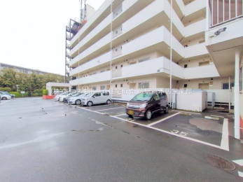 nOώʐ^@-