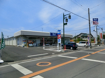 ӊ@rbOEG[œX HĩfBXJEgXgA `ocO`łAǂłASŗǂi񋟂Aql̐LɂBi480mj