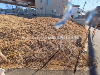 ���n�y�n�ʐ^�@-