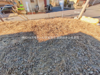 ���n�y�n�ʐ^�@-