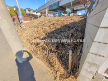 ���n�y�n�ʐ^�@-