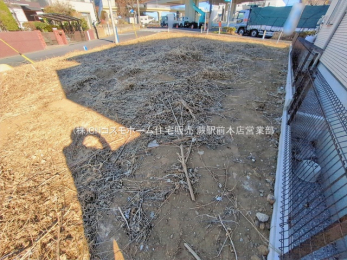 ���n�y�n�ʐ^�@-