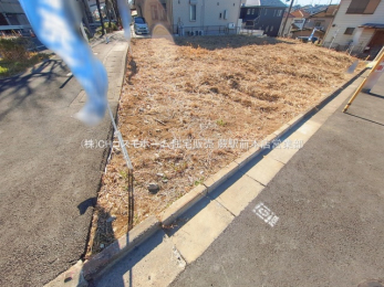 ���n�y�n�ʐ^�@-