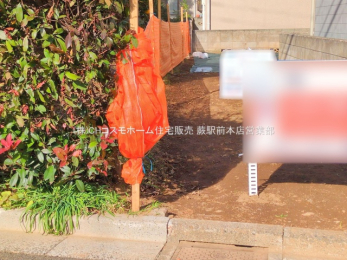 ���n�y�n�ʐ^�@-