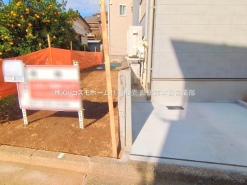 ���n�y�n�ʐ^�@-