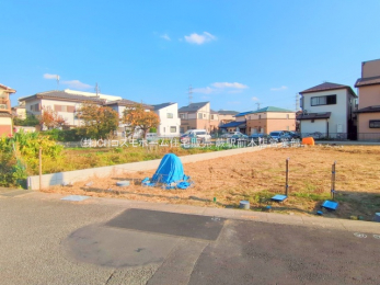 ���n�y�n�ʐ^�@-