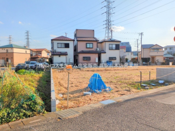 ���n�y�n�ʐ^�@-