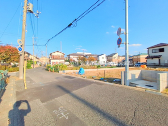 ���n�y�n�ʐ^�@-