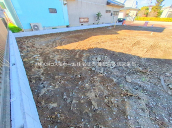 ���n�y�n�ʐ^�@-