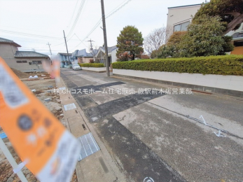 ���n�y�n�ʐ^�@-