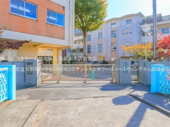 ӊ@܎s^쓌wZi650mj