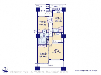 Ԏ}îP}Vj@}ʂƈقȂꍇ͌D