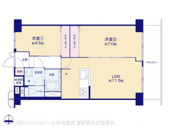 Ԏ}îP}Vj@}ʂƈقȂꍇ͌D