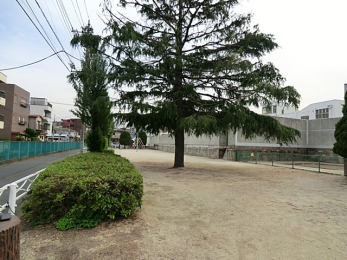 ���ӊ��@�ΐ�����i650m�j