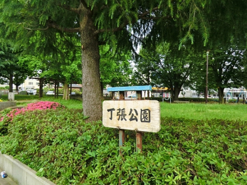 ���ӊ��@���������i1060m�j