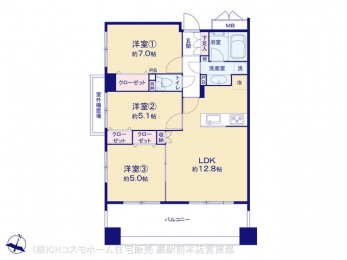 Ԏ}îP}Vj@}ʂƈقȂꍇ͌D