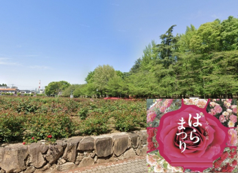 ���ӊ��@�w�΂�܂�̗^������x �w�΂�܂�x�ŗL���ȗ^������ł���߂��̏��w�Z�͎ʐ����ł�������݂̌����ł��� �E�^������̃o����PR�i�i�퓙�̊Ŕݒu�j�@�o�����i��Ȏ���j�B 