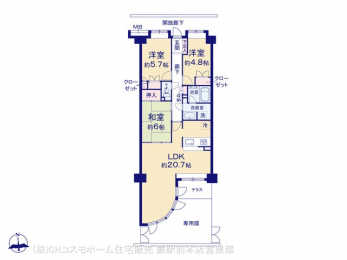 Ԏ}îP}Vj@}ʂƈقȂꍇ͌D