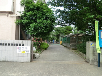 ���ӊ��@�˓c�s����򏬊w�Z�i40m�j