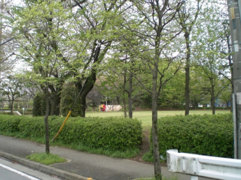 ���ӊ��@���Ԍ����i1950m�j