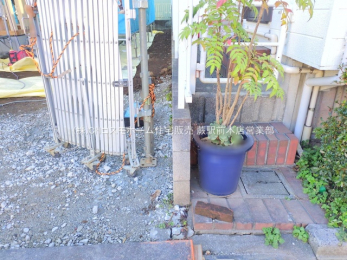 ���n�O�ώʐ^�@-