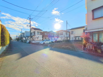 ���n�y�n�ʐ^�@-