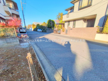 ���n�y�n�ʐ^�@-