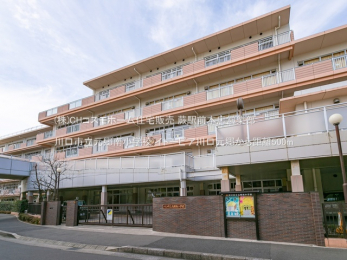 ���ӊ��@����s�������쏬�w�Z�i500m�j