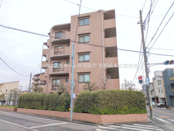 ���n�O�ώʐ^�@-