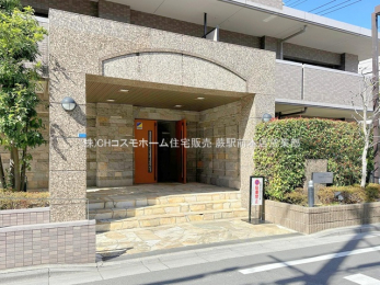 �G���g�����X�@-