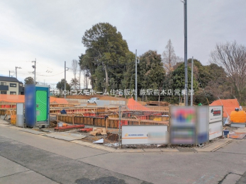 ���n�O�ώʐ^�@-