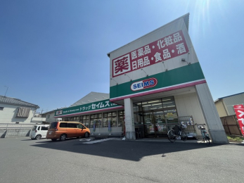 ���ӊ��@�Z�C���X�@���_�c�X�i310m�j