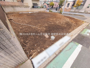 ���n�y�n�ʐ^�@-