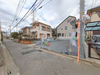 ���n�y�n�ʐ^�@-