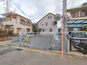 ���n�y�n�ʐ^�@-