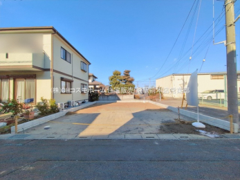 ���n�y�n�ʐ^�@-