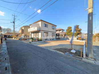 ���n�y�n�ʐ^�@-