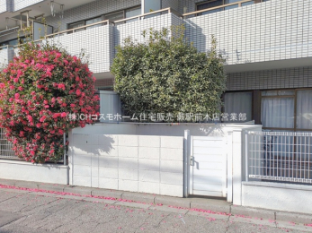 ���n�O�ώʐ^�@-