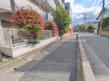 ���n�O�ώʐ^�@-