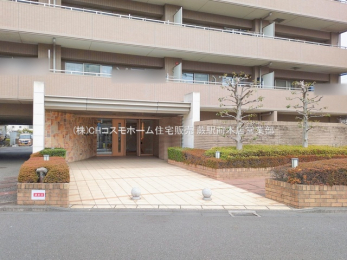 �G���g�����X�@-