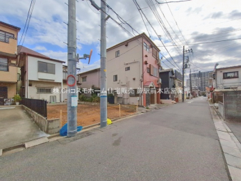 ���n�y�n�ʐ^�@-