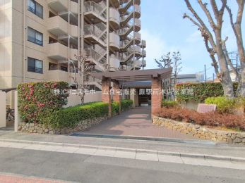 �G���g�����X�@-