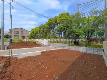 ���n�y�n�ʐ^�@-