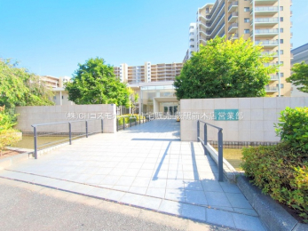 �G���g�����X�@-