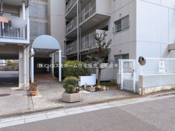 �G���g�����X�@-