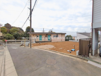 ���n�y�n�ʐ^�@-