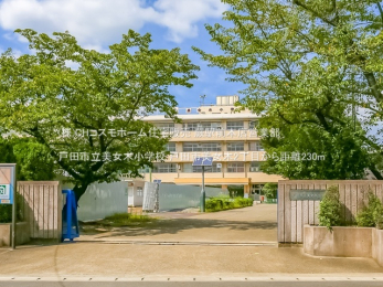 ���ӊ��@�˓c�s�������؏��w�Z�i230m�j